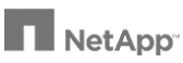 netapp solutions